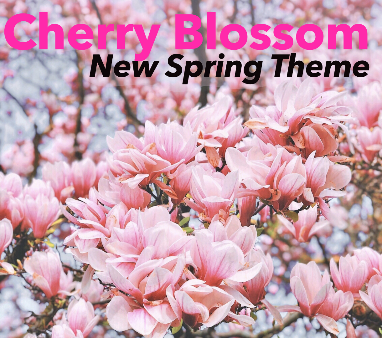 New Spring Theme: Cherry Blossom