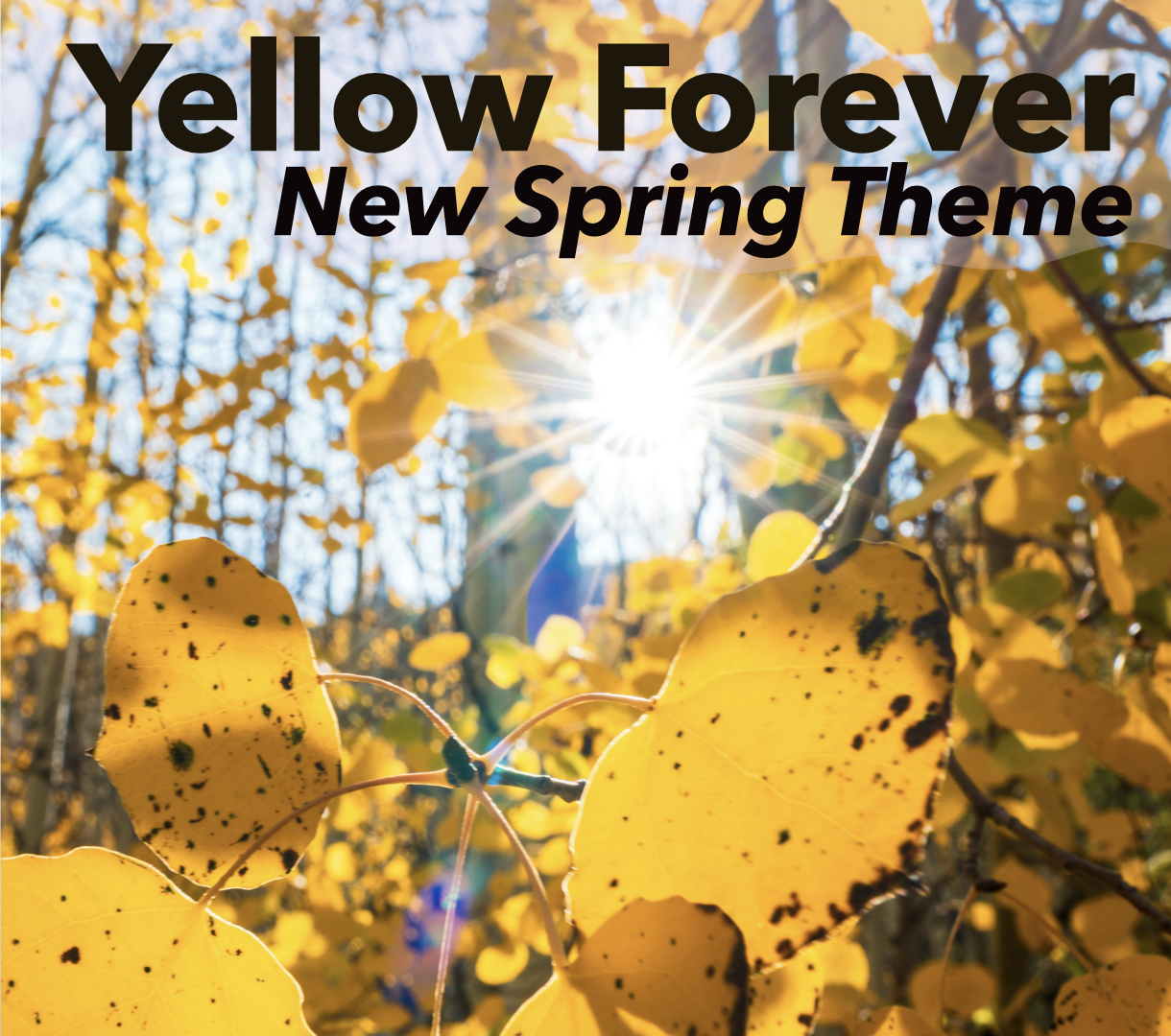 New Spring Theme: Yellow Forever